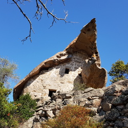 Oriu 